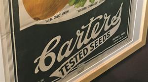 Carters poster